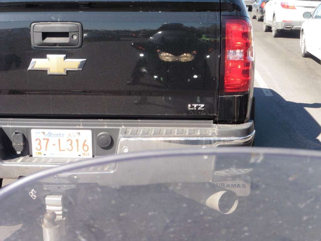 P1030556_Medium.JPG