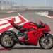 Ducati Homologates Panigale V4 Range For Canadian Superbike Championship