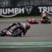 Colin Fraser: Quartararo Steps Up