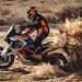 KTM UNVEILS ITS 2022 RANGE OF ADVENTURE MOTORCYCLES