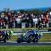 RINS WINS IN AUSTRALIA