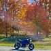 The Vallee Report – Fall Ride
