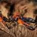 KTM TAKES RIDER CONNECTION TO THE NEXT LEVEL WITH THE 2025 KTM MOTOCROSS RANGE