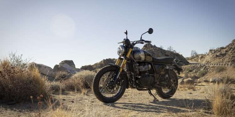 THE ROYAL ENFIELD BEAR 650