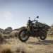 THE ROYAL ENFIELD BEAR 650