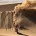 DANIEL SANDERS FASTEST AT MIDWAY POINT OF DAKAR RALLY CHRONO STAGE TWO